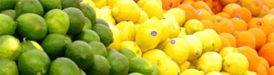 Citrus grow hydroponically in South Africa