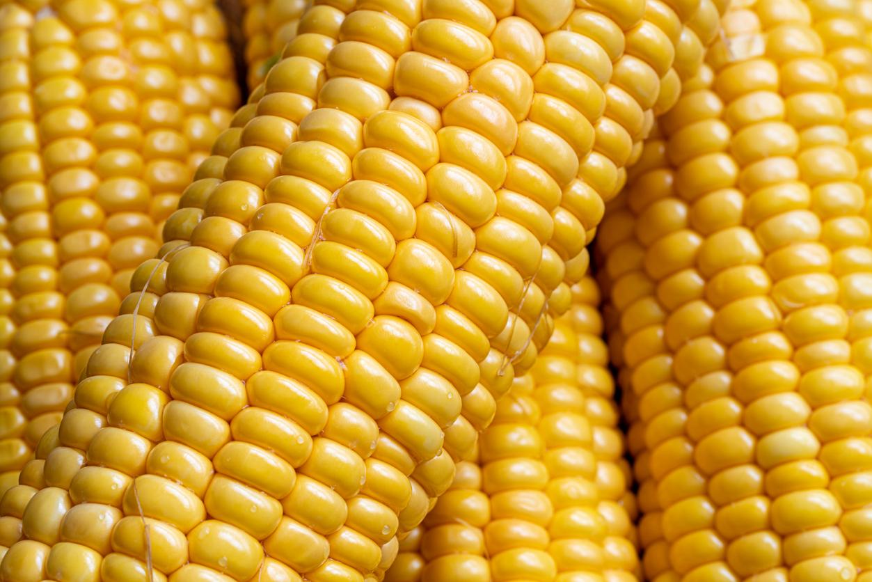 corn