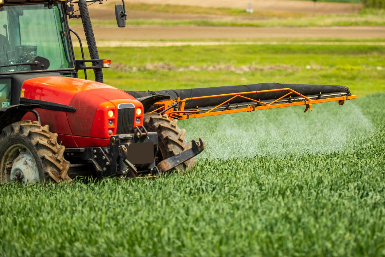 Farmer spraying wheat crops
