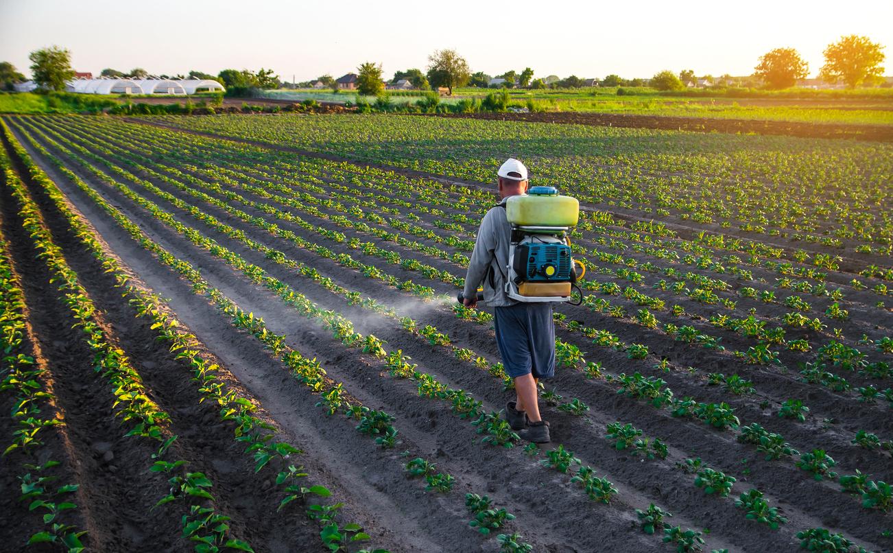 Farmer sprays a potato plantation with a sprayer. Chemical treatment. Mist sprayer, fungicide and pesticide. Effective crop protection of cultivated plants against insects and fungal. Field work
