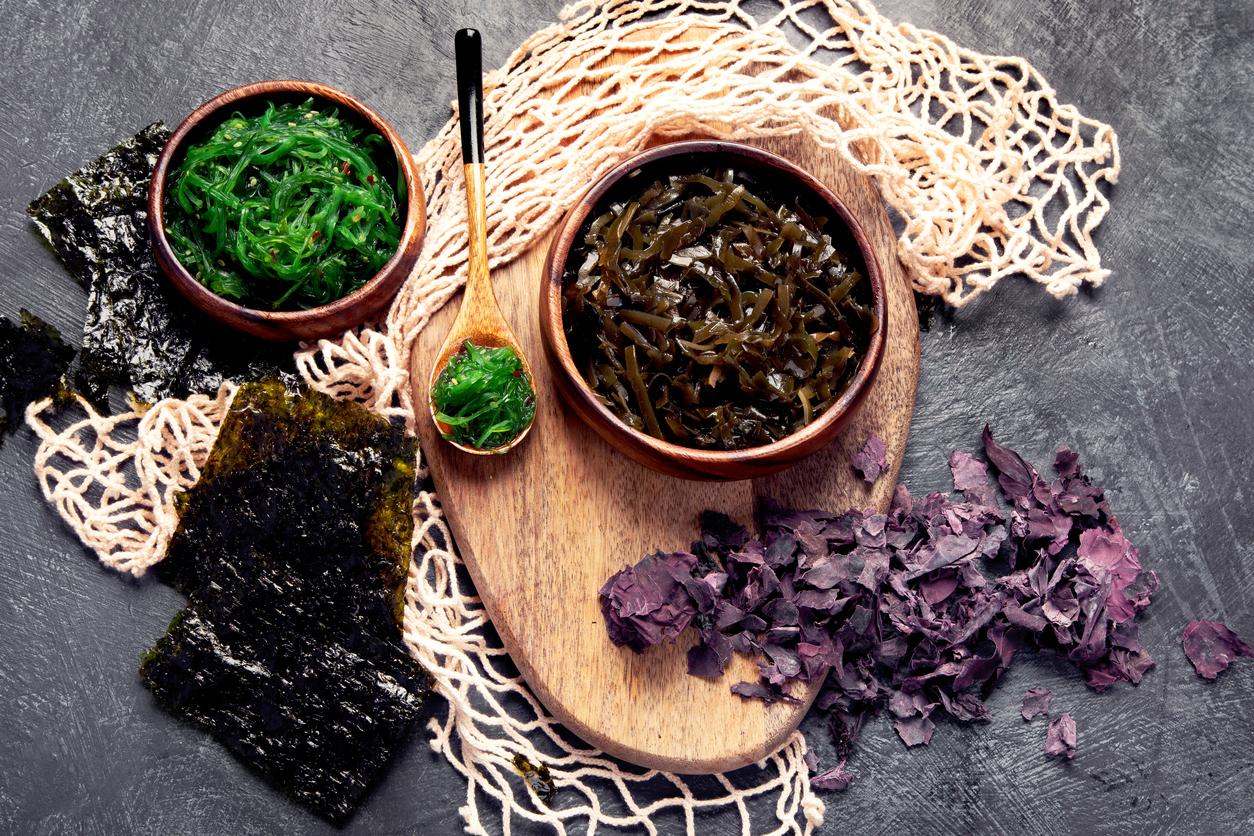 Seaweed assortment on fark background. Healthy snacks. Top view, flat lay