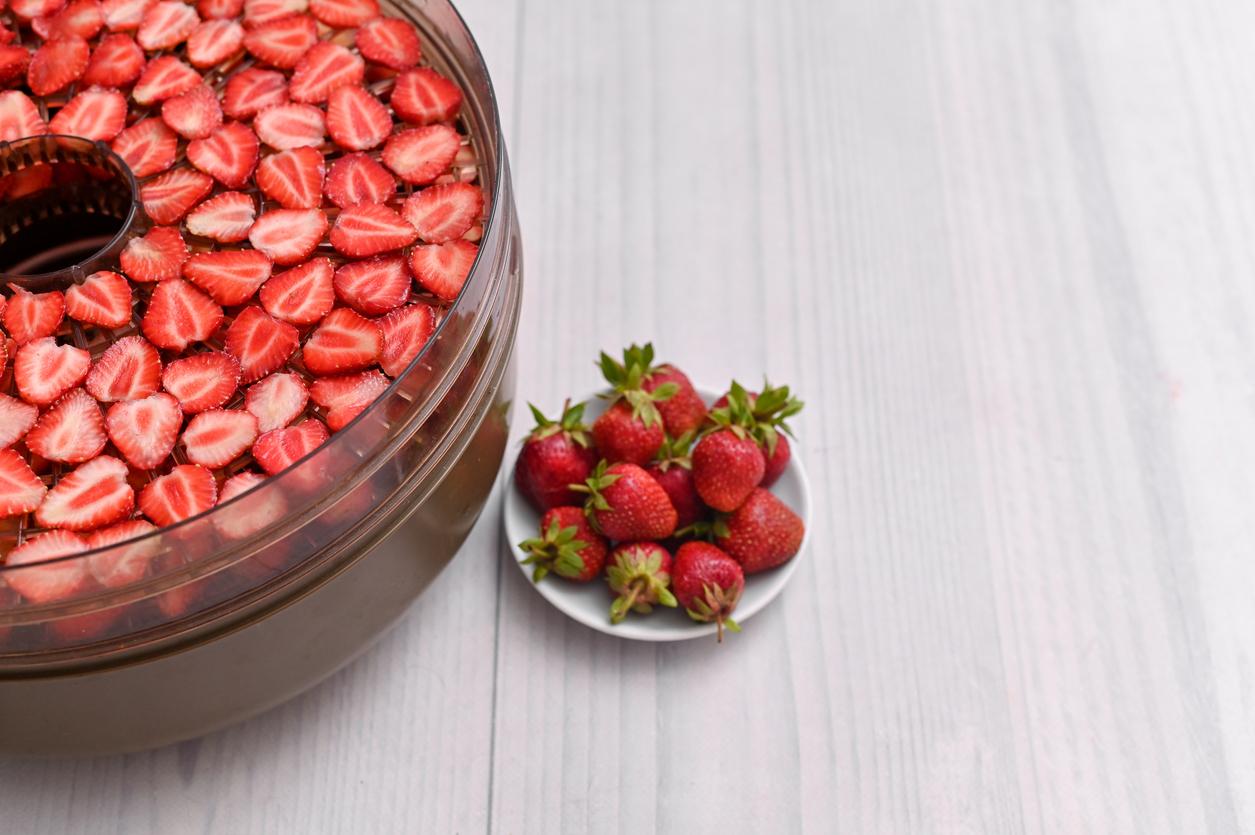 dehydrator machine for drying berries. dry the strawberries in slices.