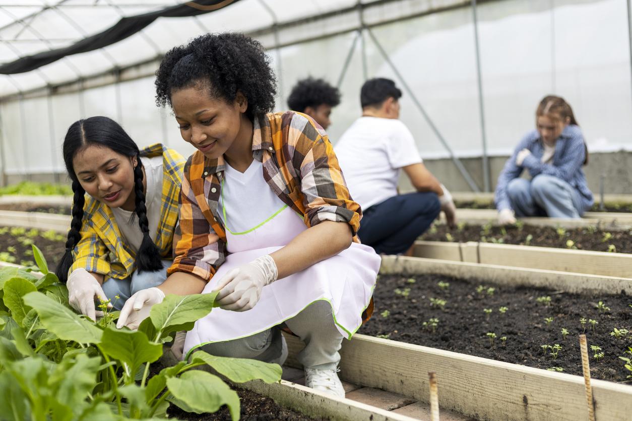 Happiness children study learning to prepare the soil before planting vegetables.