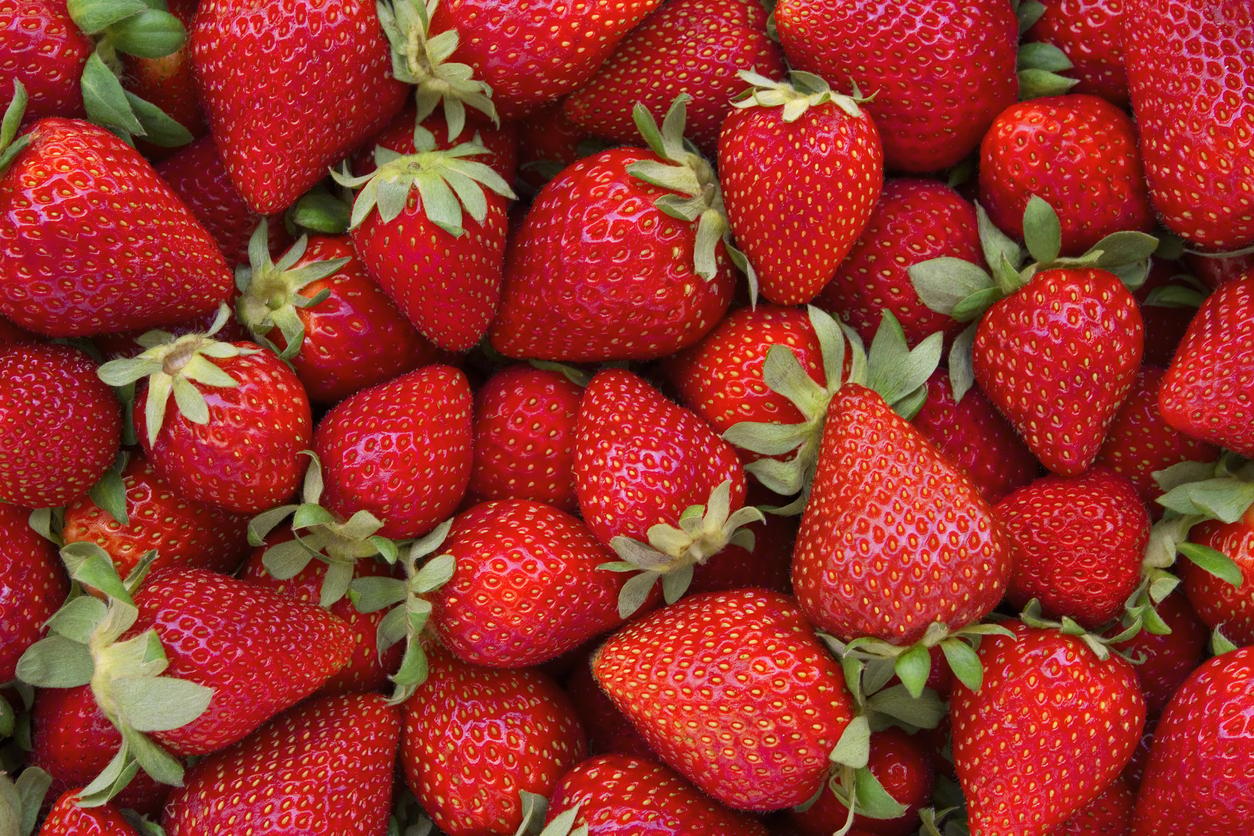Directly above view of fresh red strawberries. All strawberries are clean with green leaves. There are lots of strawberries which are different sizes filling the frame of photograph.