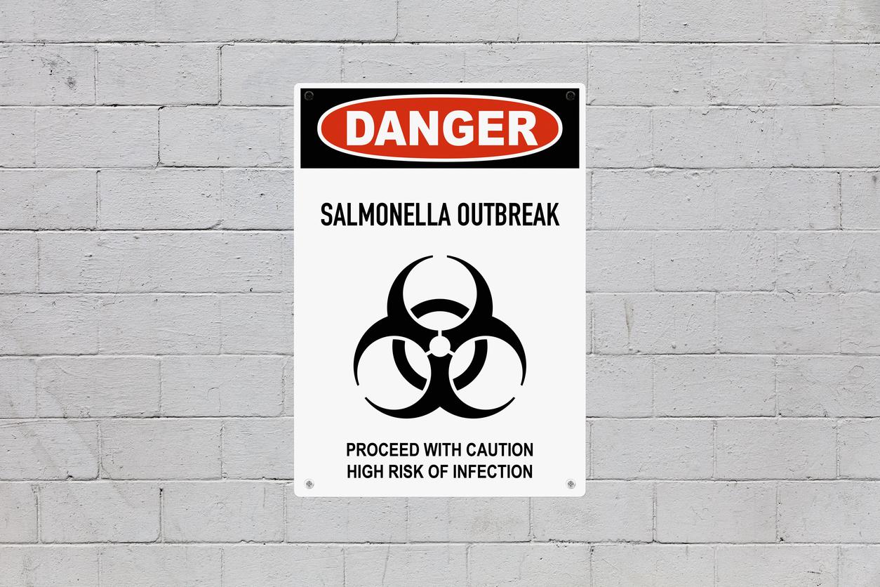 Warning sign screwed to a brick wall to warn about a health hazard. In the middle of the panel, there is a biohazard symbol and the message is saying "Danger, salmonella outbreak. Proceed with caution, high risk of infection".