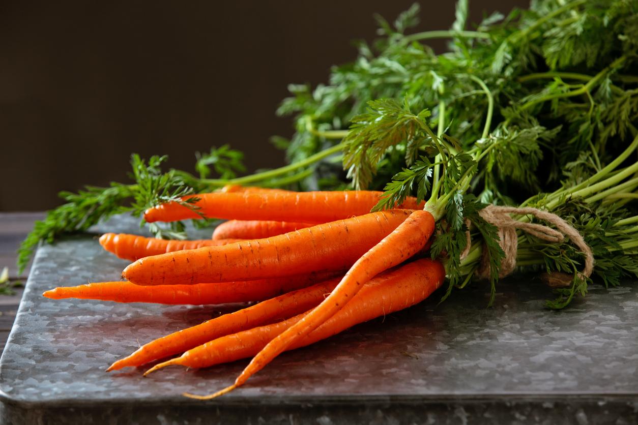 Heap of ripe carrots with leaves on dark rustic table.