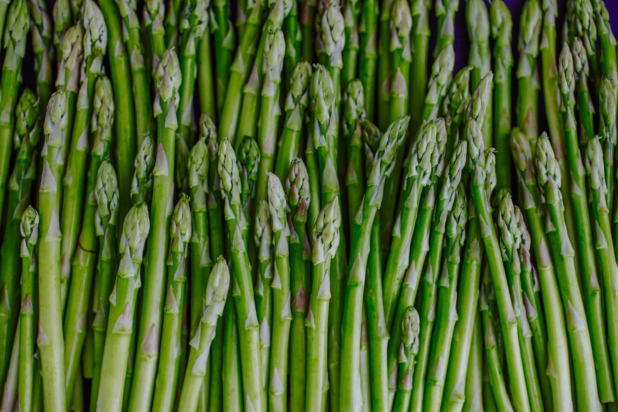 Directly above view of baby asparaguses