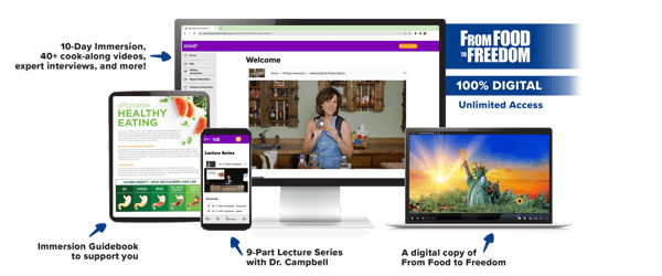 The Food to Freedom Immersion Kit