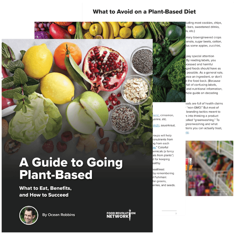 Curious about starting (or optimizing) a plant-based diet?